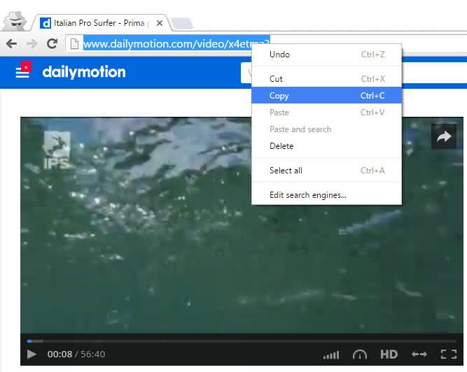 How to Download Dailymotion Videos